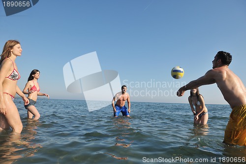 Image of young people group have fun and play beach volleyball