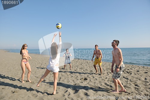 Image of young people group have fun and play beach volleyball