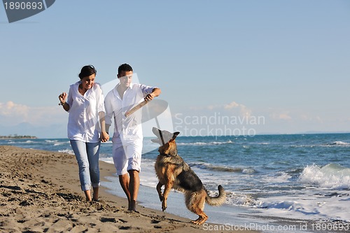 Image of happy family playing with dog on beach