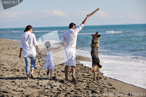 Image of happy family playing with dog on beach