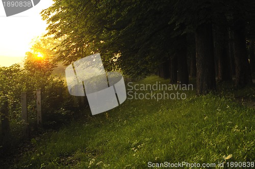 Image of sunrise in beautiful alley 