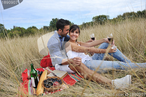 Image of happy couple enjoying countryside picnic in long grass