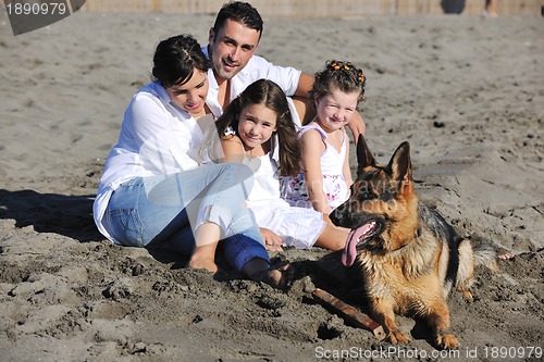Image of happy family playing with dog on beach
