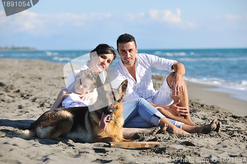 Image of happy family playing with dog on beach