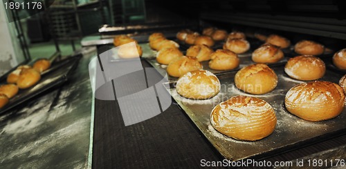 Image of bread factory production