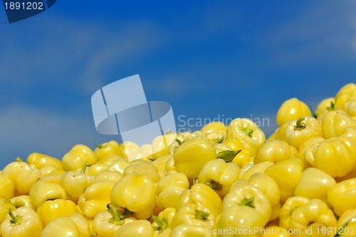 Image of fresh organic food peppers