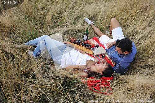 Image of happy couple enjoying countryside picnic in long grass