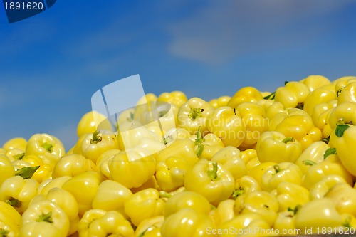 Image of fresh organic food peppers