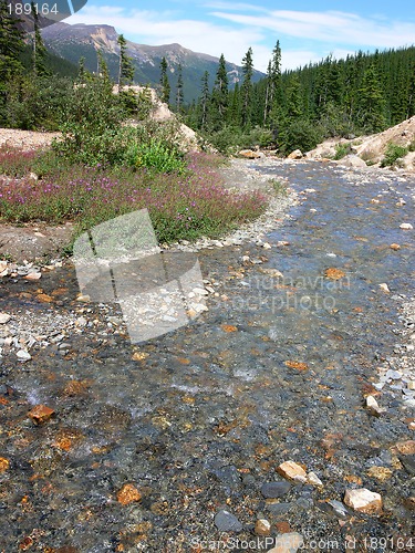 Image of Mountain Stream