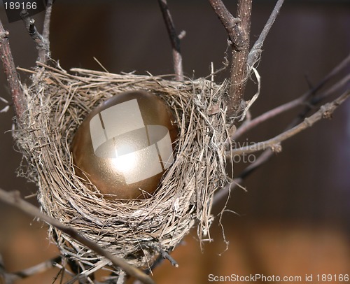 Image of Nest Egg