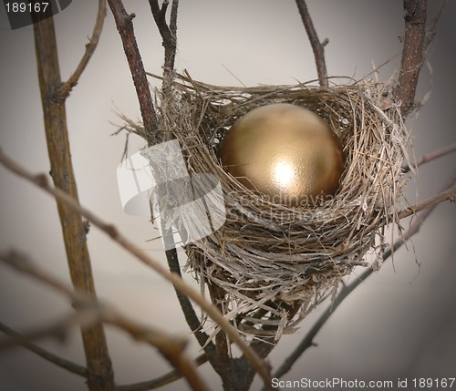 Image of Nest Egg 2