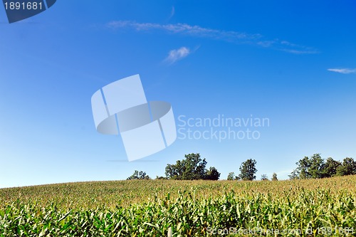 Image of countrysice nature landscape