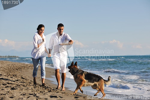 Image of happy family playing with dog on beach