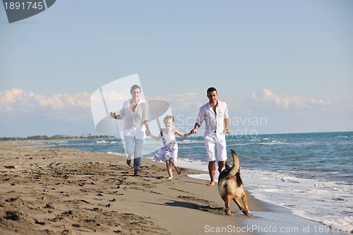 Image of happy family playing with dog on beach