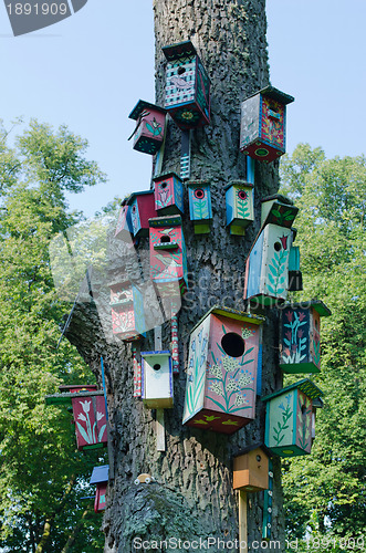 Image of Colorful bird houses nest box hang old tree trunk 
