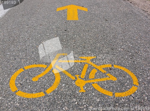 Image of Yellow Bikes Ahead!