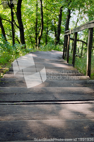 Image of wooden staircase down nature surround trees grass 