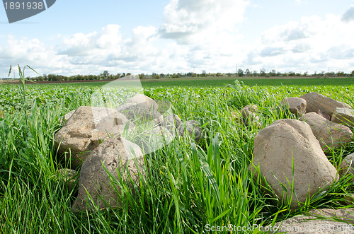 Image of Big stones picked from agricultural fields and cloudy sky. 
