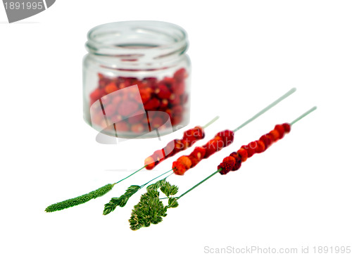 Image of Wild strawberries in pot string on bent isolated 