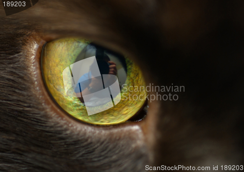 Image of Photographer Self-Portrait in Cat's Eye