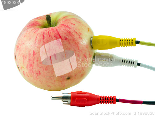 Image of Tulip audio video wires plugs connected to apple 