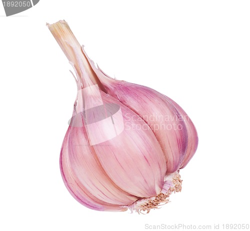 Image of Fresh garlic