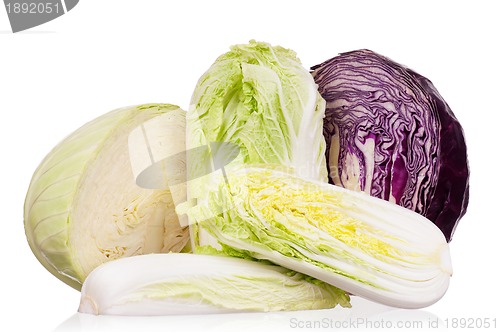 Image of Fresh cabbage