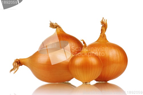 Image of Fresh onion