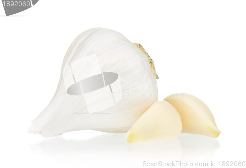 Image of Fresh garlic