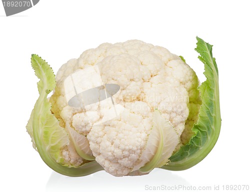 Image of Fresh cabbage