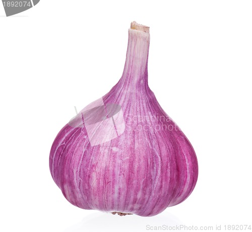 Image of Fresh garlic