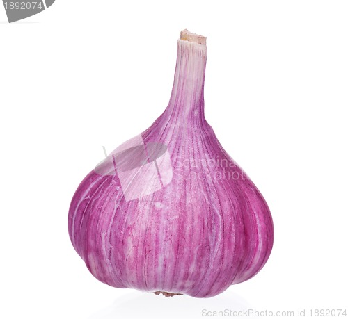 Image of Fresh garlic