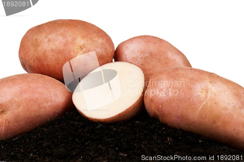 Image of Potatoes