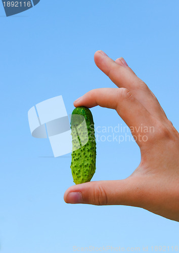 Image of Gherkin