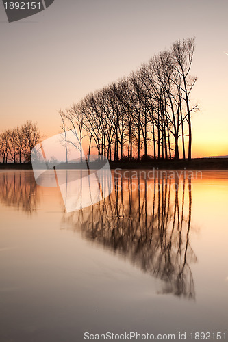 Image of Symmetry