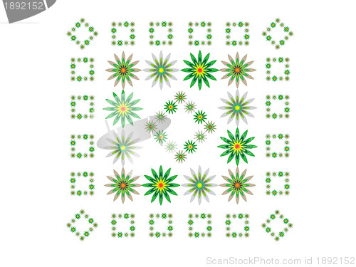 Image of Flowers