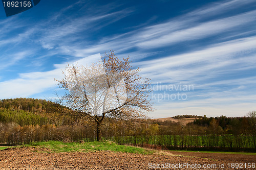 Image of Autumn landscape