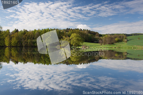 Image of Summer reflection
