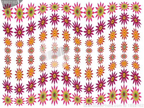 Image of Flowers