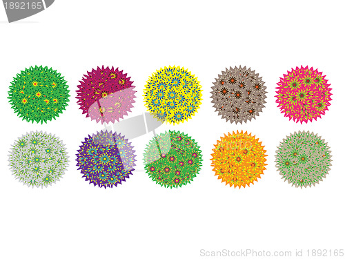 Image of Flowers spheres