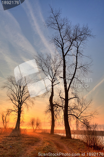 Image of In the morning mist