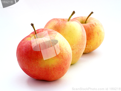 Image of Apples