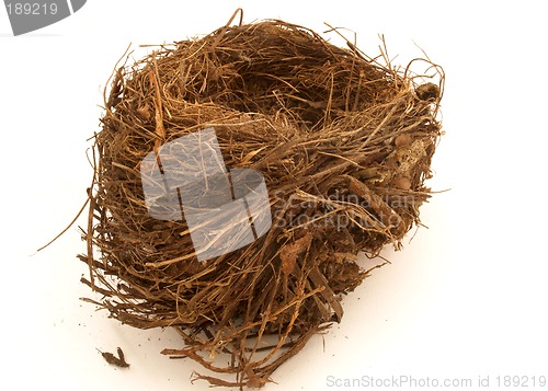 Image of Birds Nest