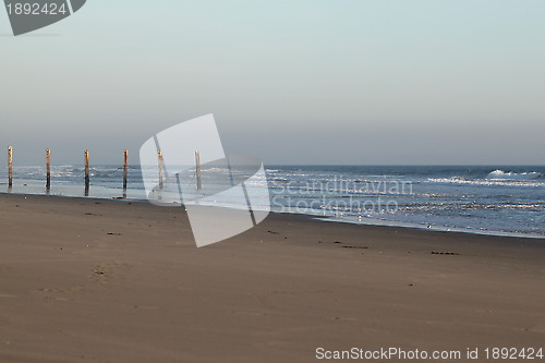 Image of Beach Fence