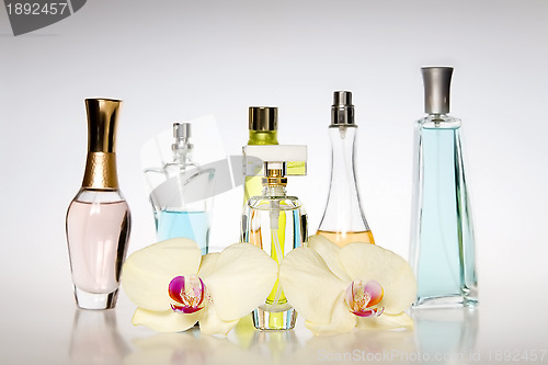 Image of Perfume bottles