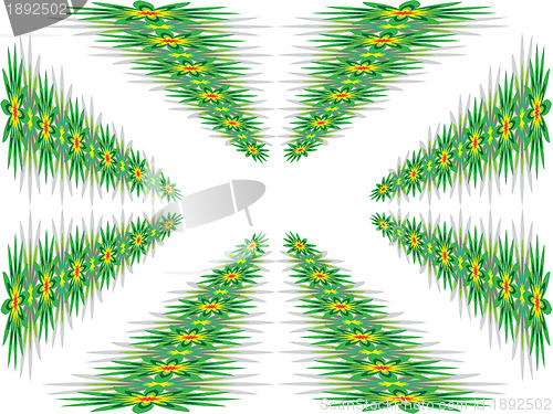 Image of Flowers