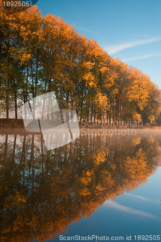 Image of Symmetry reflection 