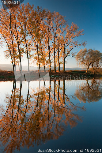 Image of Autumn river