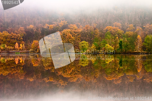 Image of Autumn on the river