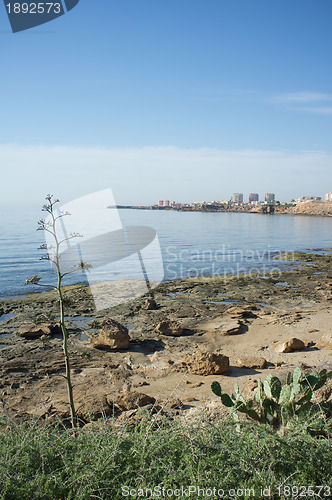 Image of Torrevieja coast